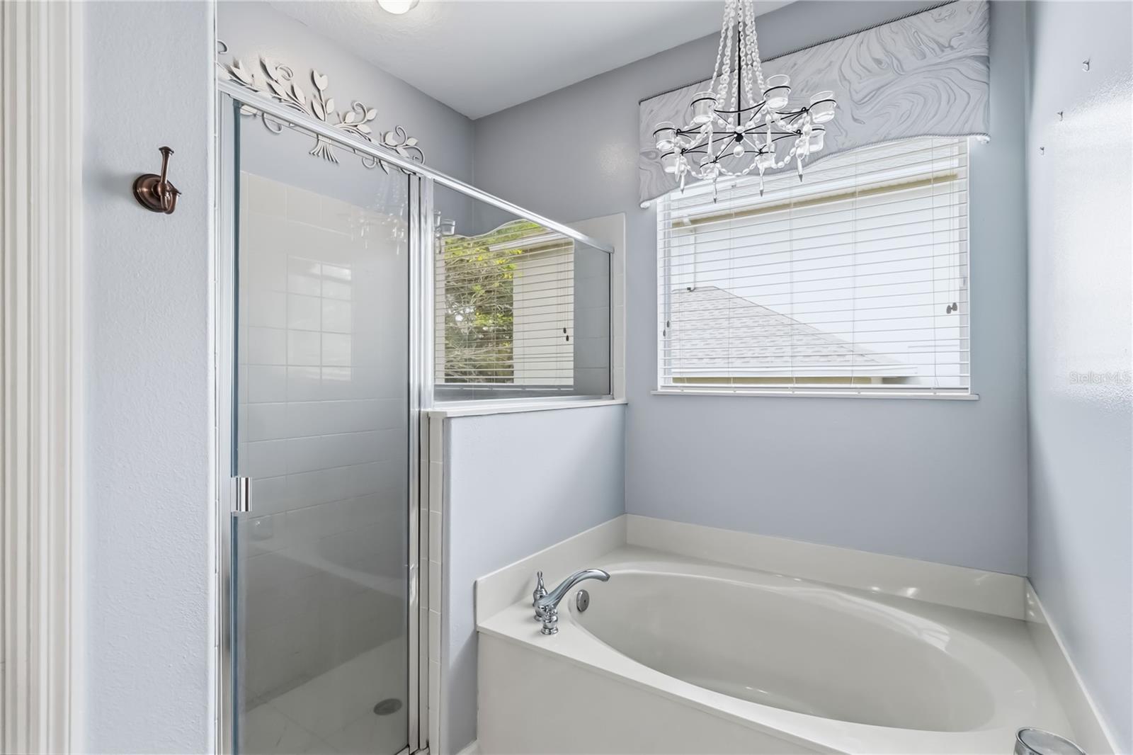 1925 Breezy Hill Drive Windermere Florida 34786