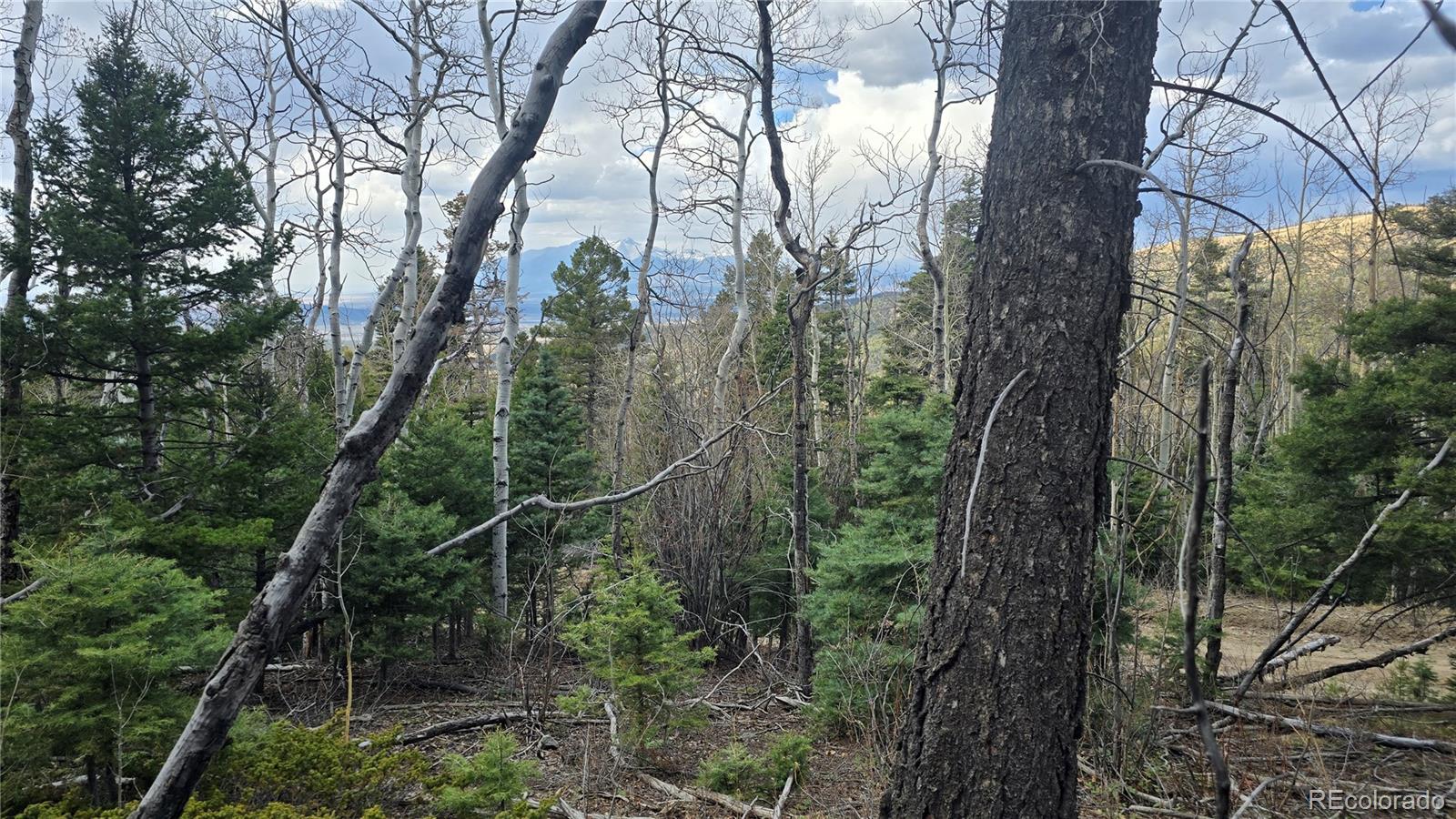Lot 5261 Scott Road