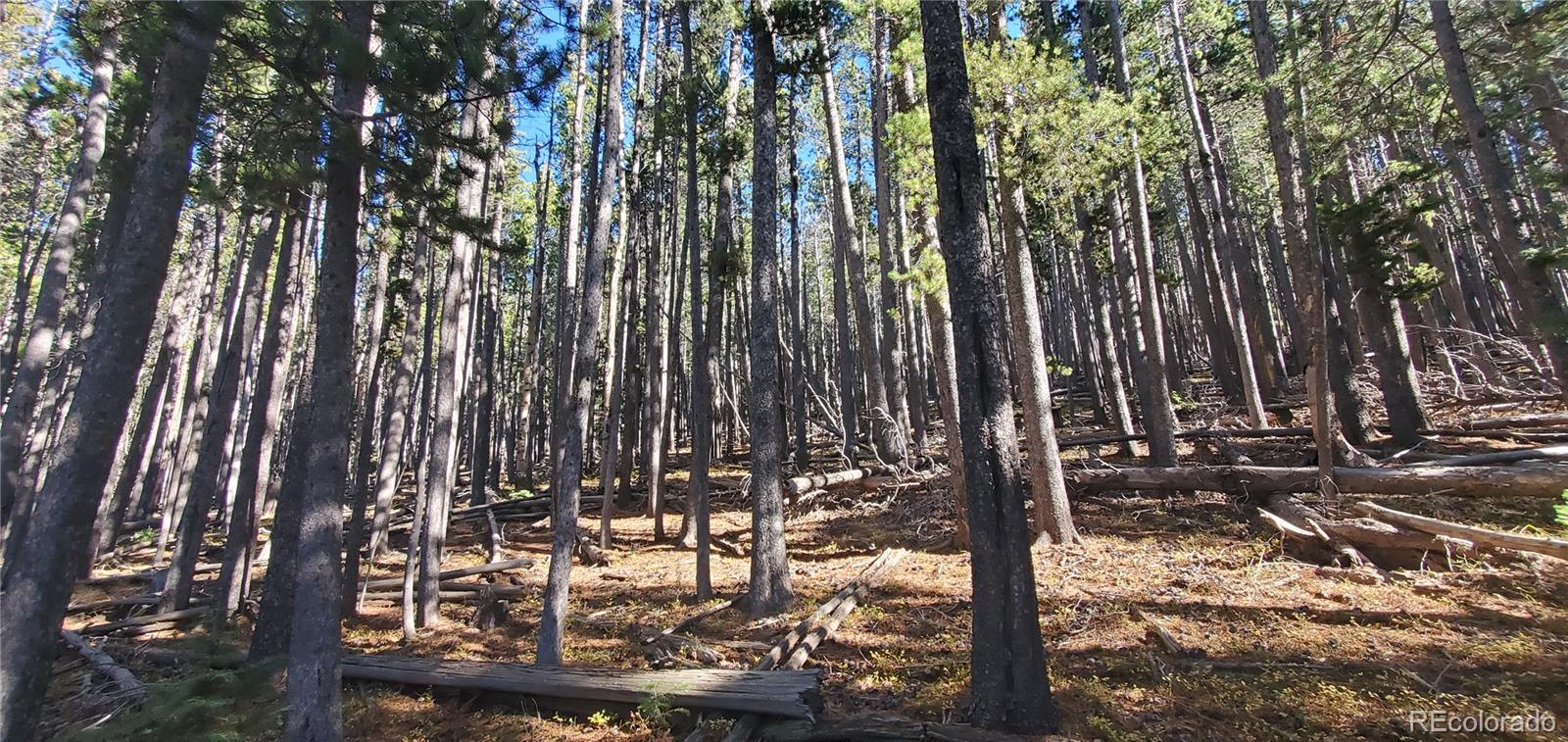 Lot 2682 & 2683 Purnell Lane