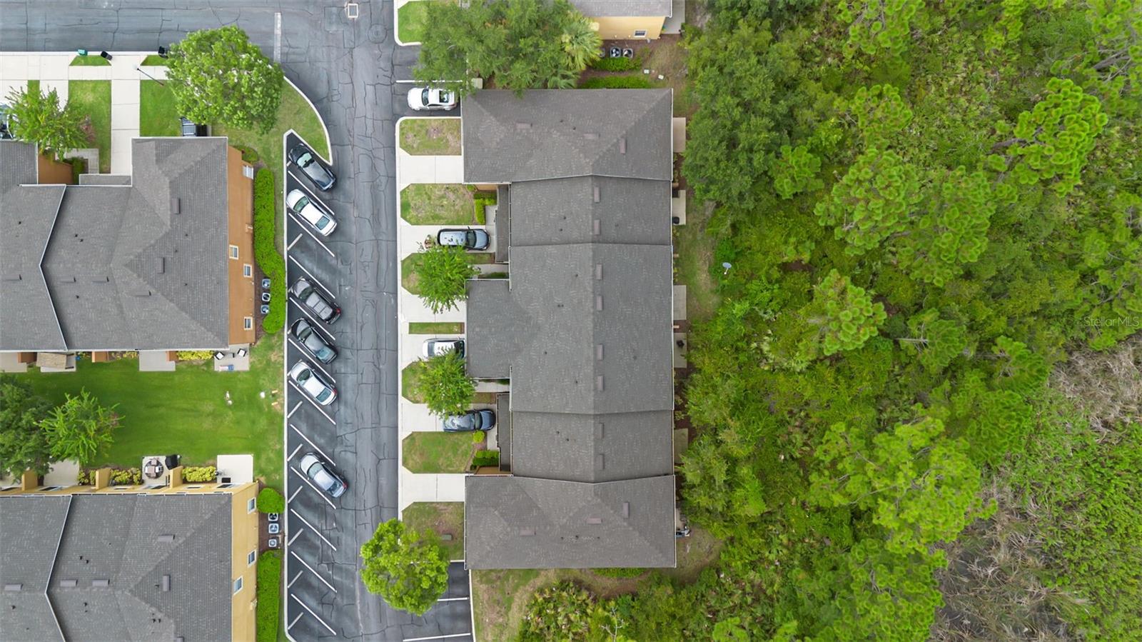 4587 Lacebark Trail