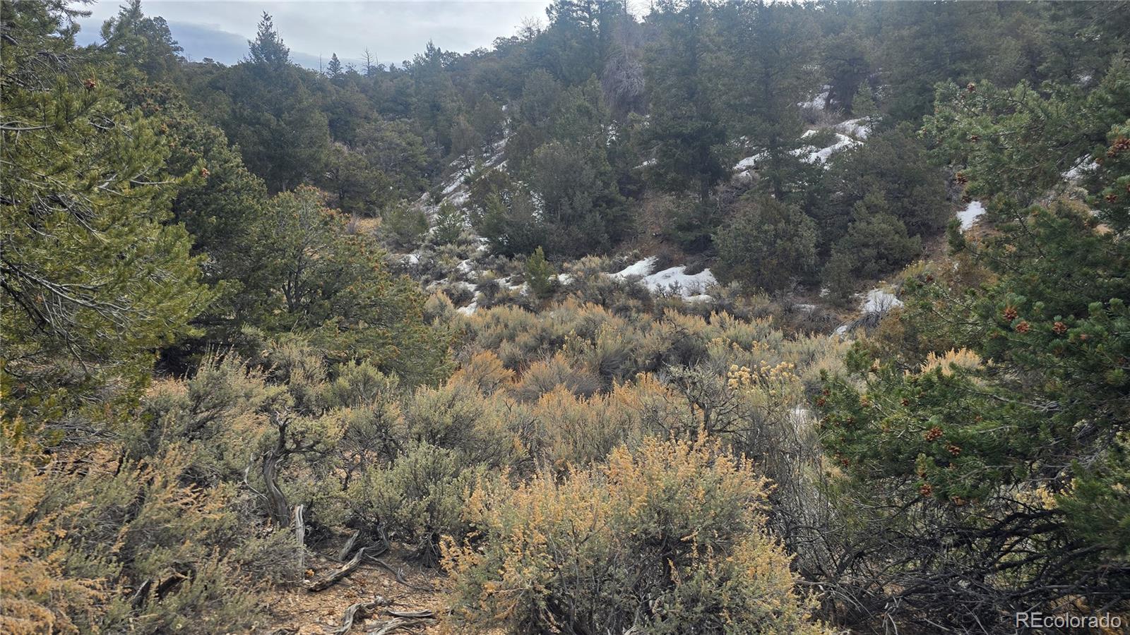Lot 1628 Hidalgo Road