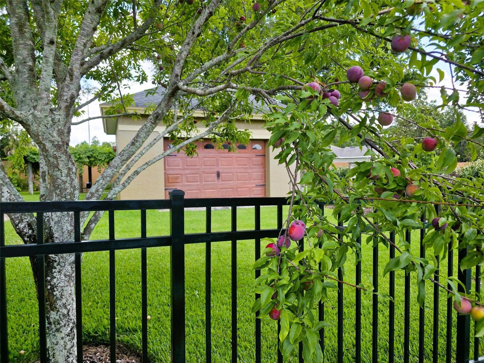 5629 Hillside Landings Road