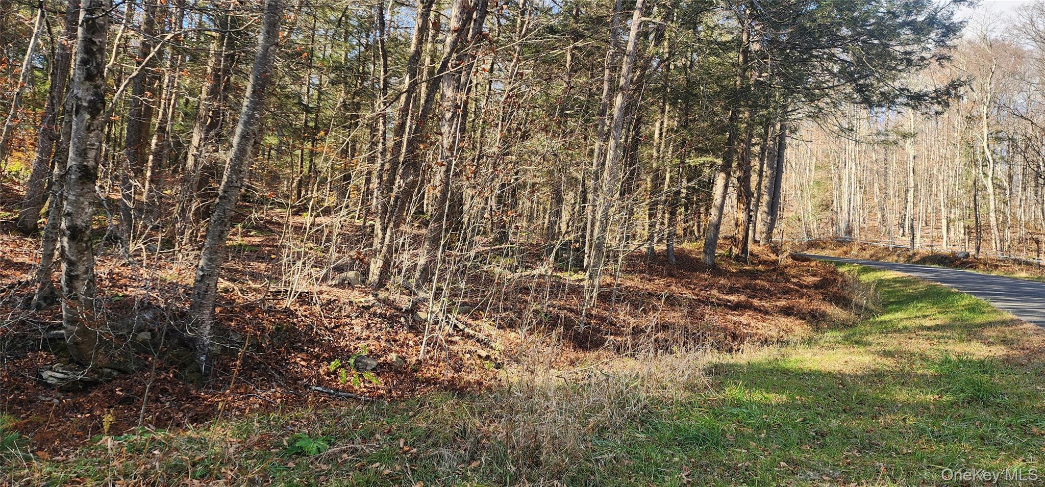00 Hunter Road