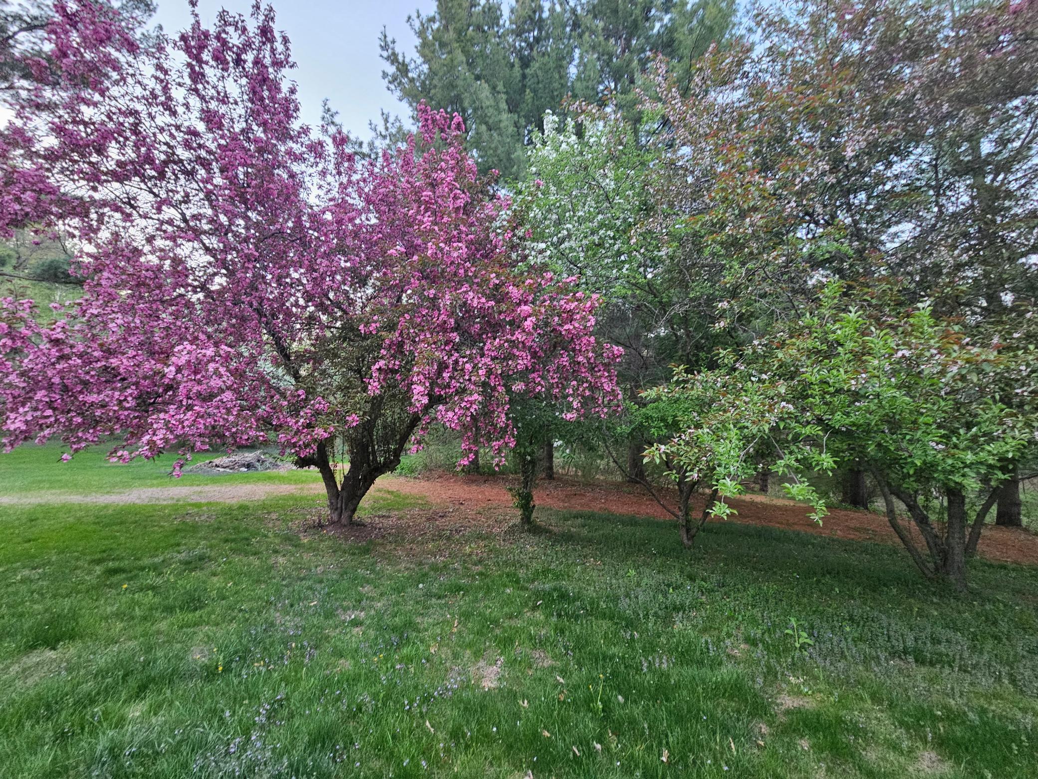 146 Green Spring Road