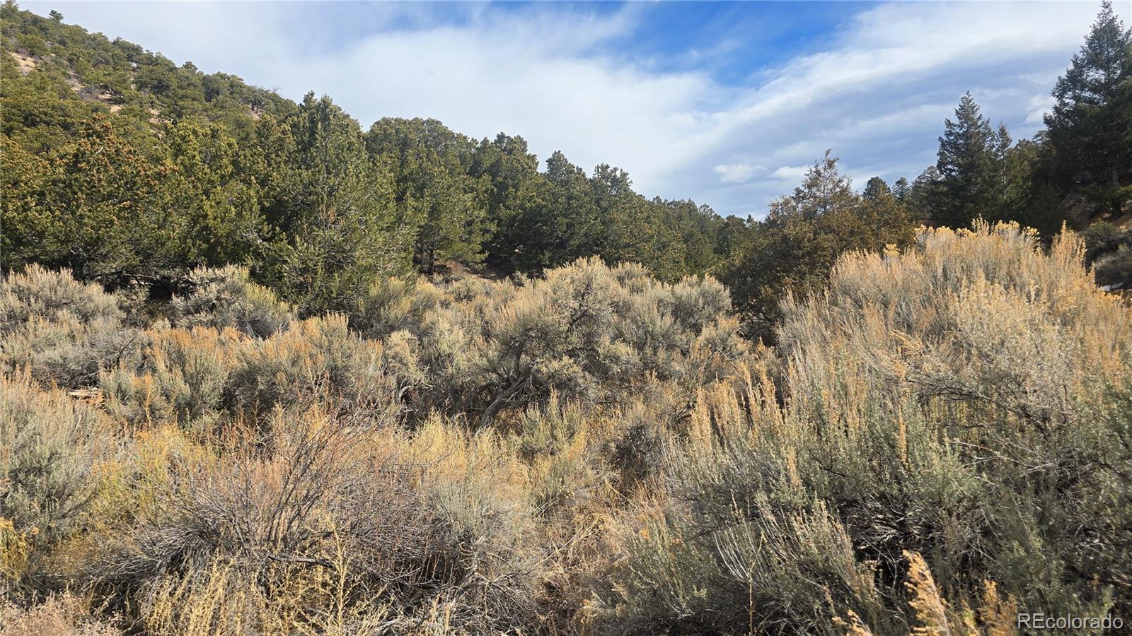 Lot 1628 Hidalgo Road