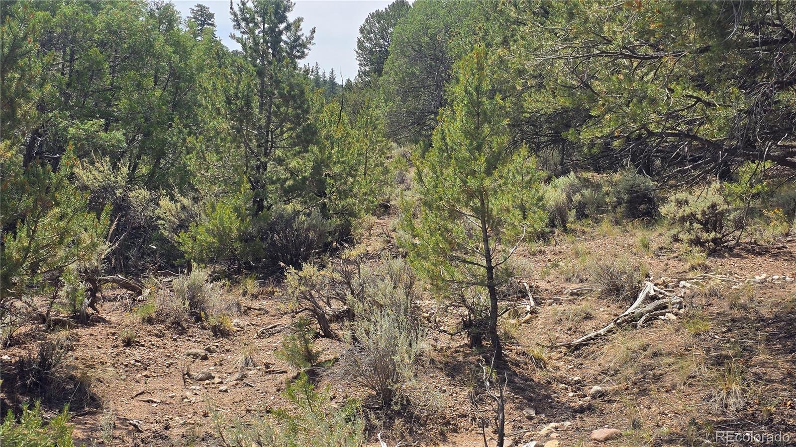 Lot 7892 Tiernan Road