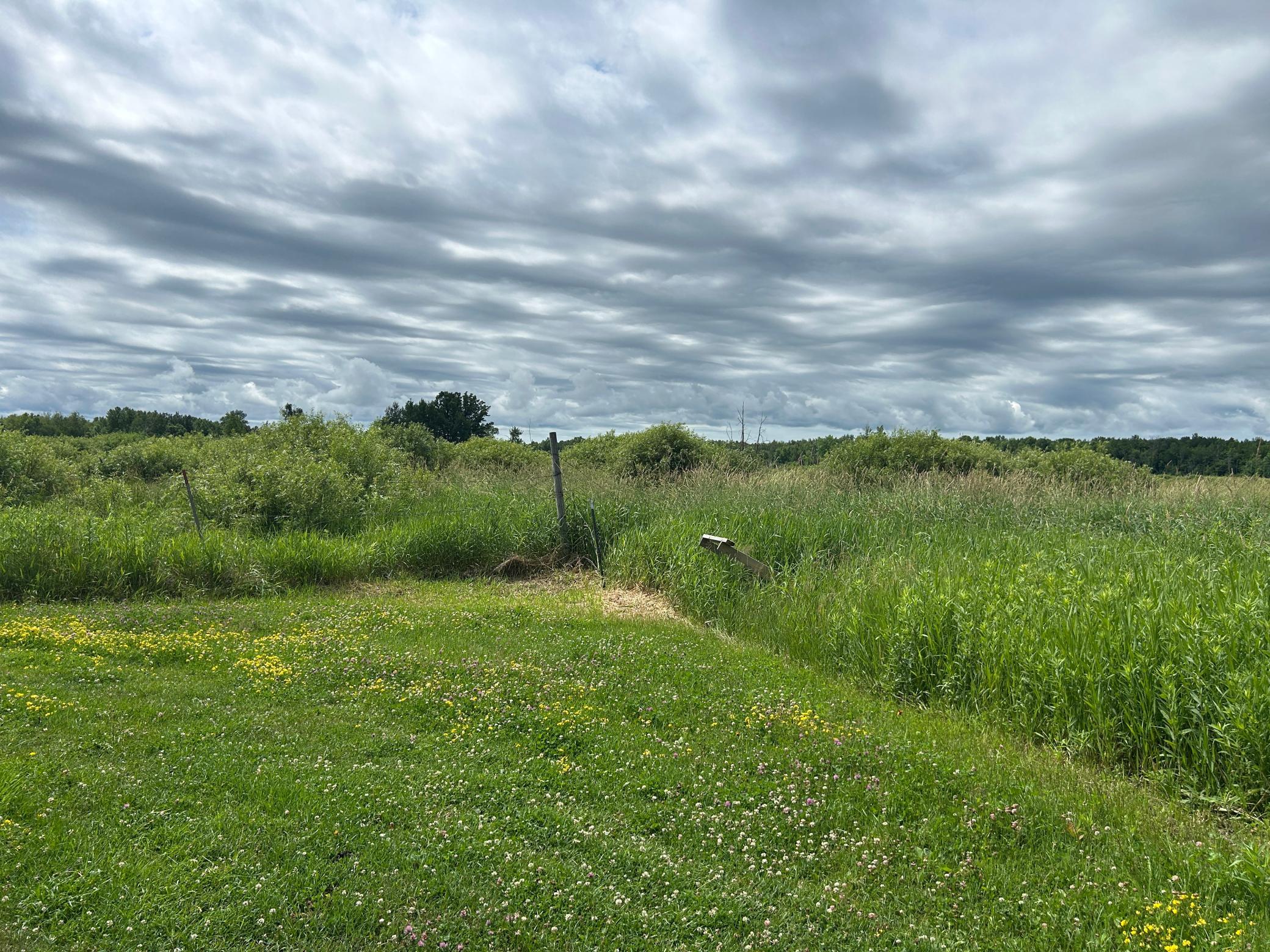 11XXX State Highway 65