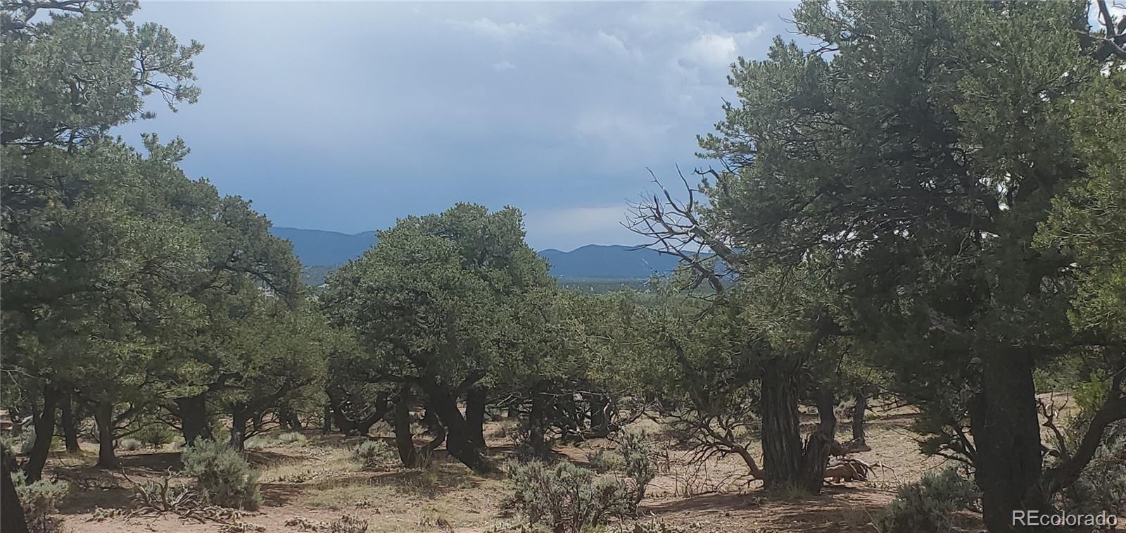 Lot3696 Branch Road