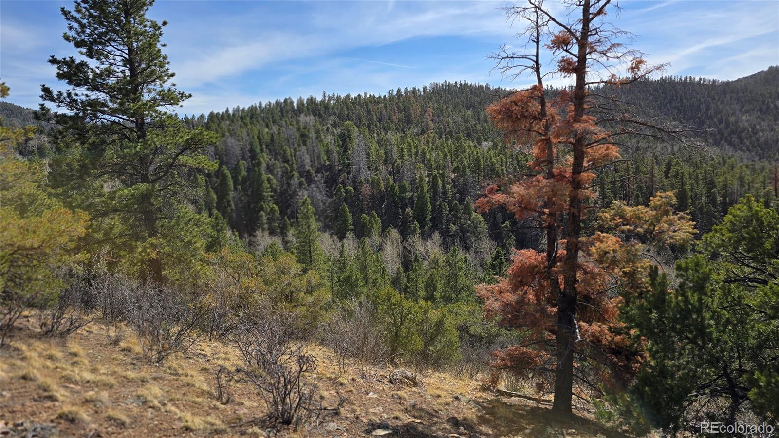 Lot 6070 Vreeland Road