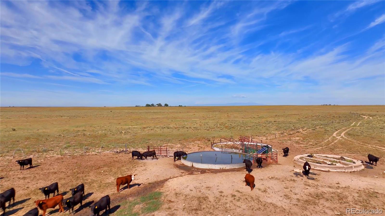 Stretching across 4,005 deeded acres, with an additional 640 acres of State Lease, the Sandhills ranch is an expansive eastern Colorado ranch embodying the productivity and resilience of the short grass prairie and the distinctive character of the region’s rolling sandhills. The landscape is defined by undulating sandy plains and low dunes stabilized with sagebrush and native grasses, creating a diverse forage base that has supported cattle operations for generations. Known for its ability to thrive in semi-arid conditions, the short grass prairie provides dependable, nutrient-rich forage, while the sandy soils promote rapid green-up after summer rains, making this an ideal grazing environment.
The ranch’s history reflects its versatility. Once operated as a year-round cow/calf operation, it has more recently been leased seasonally for yearling grazing from June through September. This shift demonstrates its adaptability to different livestock programs, from full-scale cow/calf production to shorter-term weight-gain enterprises.
Well-designed infrastructure supports the operation, including perimeter and cross-fencing that allow for rotational grazing and effective pasture management. Six water wells, each outfitted with a solar pumping system, distribute water reliably across the property, while a large catch pond supplements the supply and provides seasonal storage. These water resources ensure herds are sustained throughout the grazing season, regardless of rainfall fluctuations.
The ranch’s natural setting offers more than just productivity—it reflects the rugged beauty and ecological richness of eastern Colorado. Rolling sandhills create scenic vistas and wildlife habitat, while resilient native vegetation ensures the land remains both functional and enduring. With its combination of scale, infrastructure, and ecological balance, this property presents a rare opportunity to step into a proven cattle ranching enterprise.