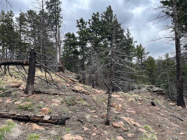 Lot 513 Leslie Loop