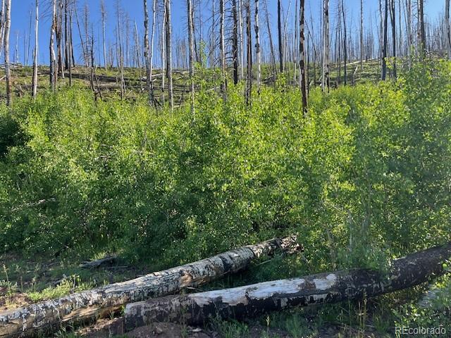 Lot 835 Slaoui Place