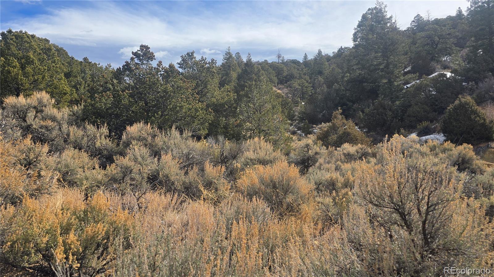 Lot 1628 Hidalgo Road