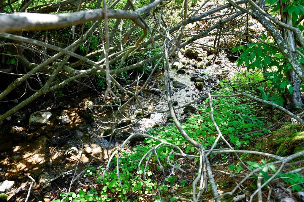 Beautiful 15+ acre wooded parcel offering privacy, natural beauty, and multiple potential building sites in a peaceful mountain setting. This pristine tract features mature hardwoods, stunning mountain laurel, and rhododendron throughout, creating a truly picturesque landscape with luxurious natural surroundings. A small creek runs though the lower portion of the property, adding to the charm and tranquility. Across from the property, a scenic cornfield enhances the open country feel while maintaining privacy and seclusion. The land appears to have remained largely untouched, with mostly natural large-growth timber and, to the owner's knowledge, has not been logged. Multiple private homesite options provide excellent opportunities for a dream home, mountain retreat, or recreational getaway. Bent Road offers paved access, while Laurel Ridge Estates Road is gravel and well maintained for easy year-round access. An old abandoned home is located on the property and is considered unsafe—do not enter. The value is in the land and its exceptional setting, natural features, and future potential. A rare opportunity to own a beautiful, private mountain tract with creek frontage, mature timber, and outstanding homesite possibilities.