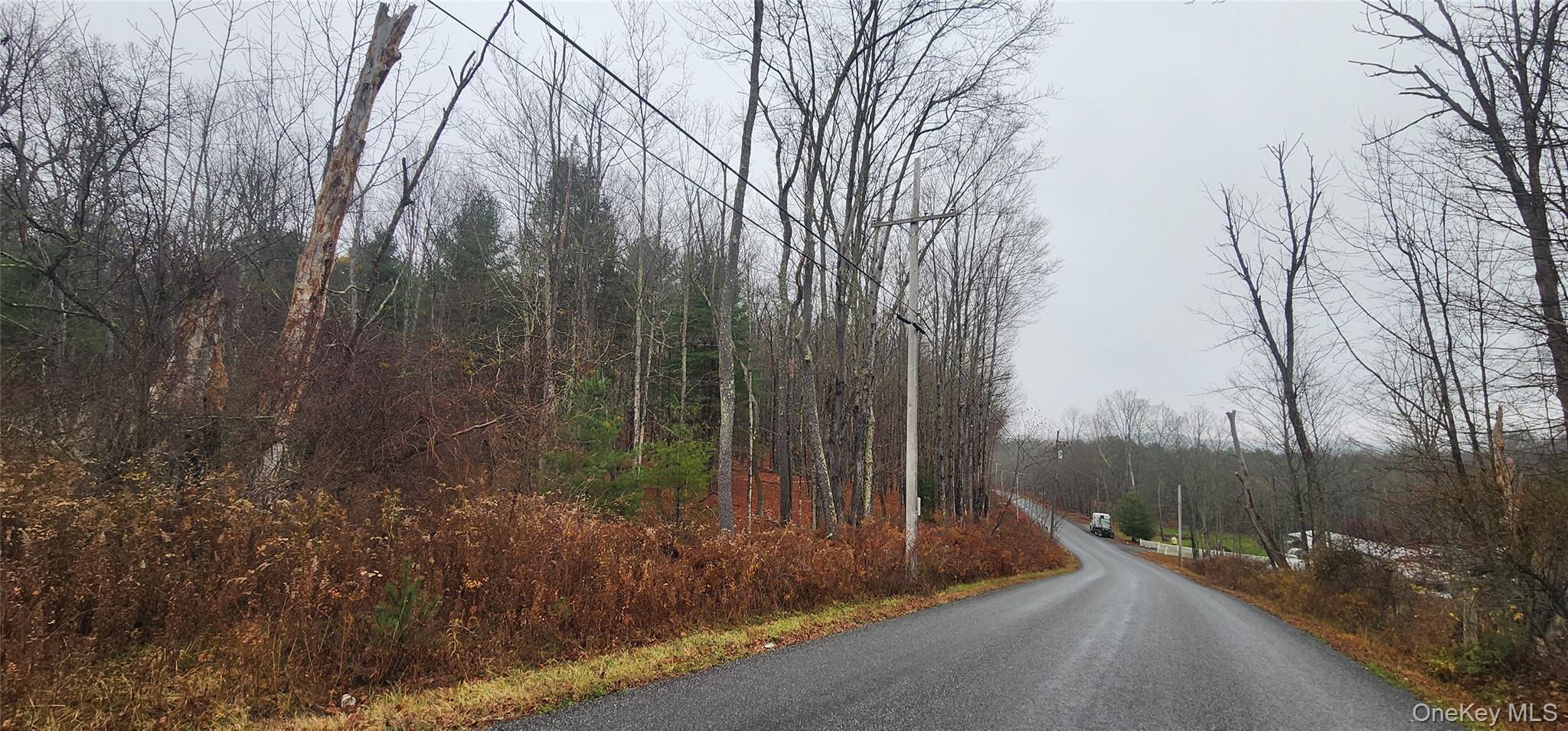 Thompson Road