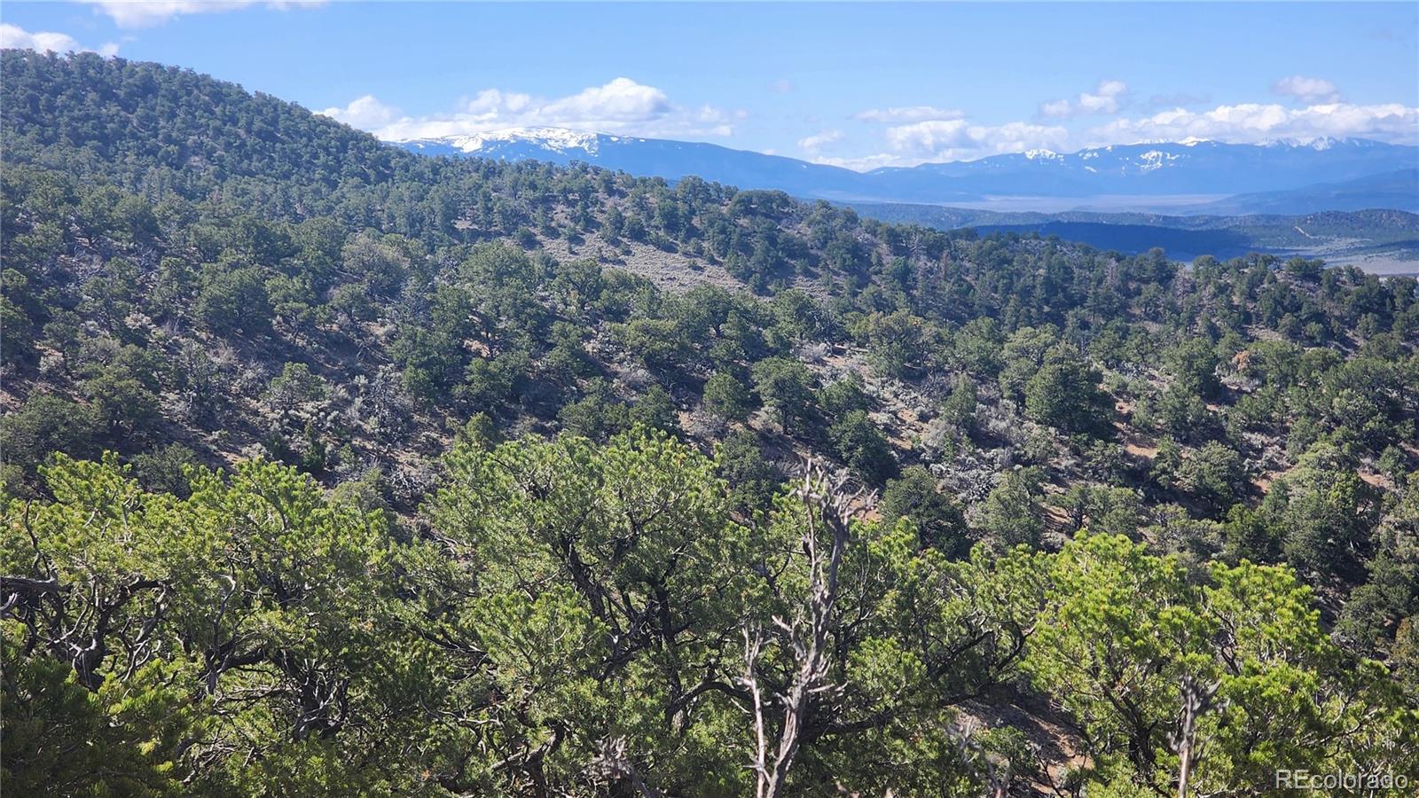 5040 & 5041 Mamouche Road