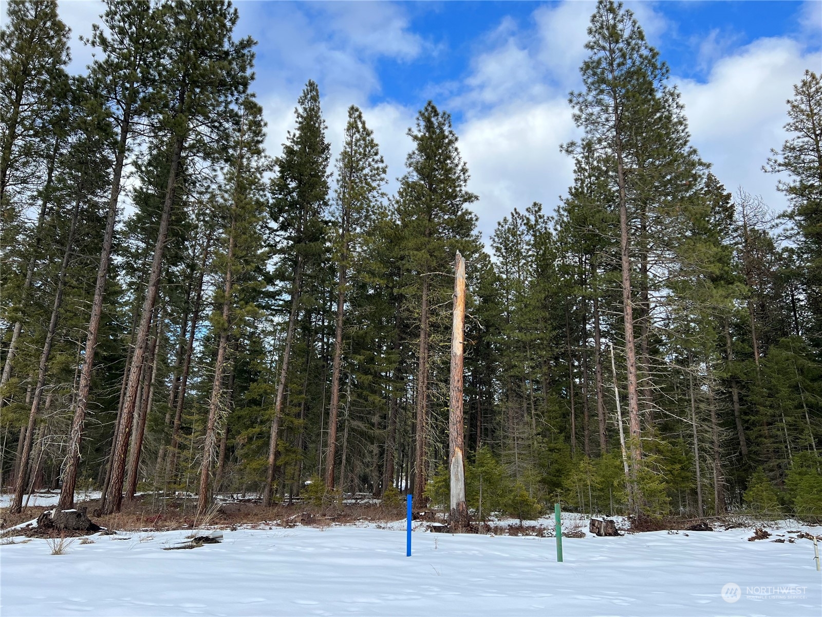 58 Kokanee Loop