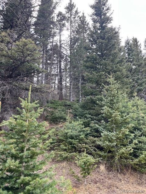 Lot 3091 Sterenson Place