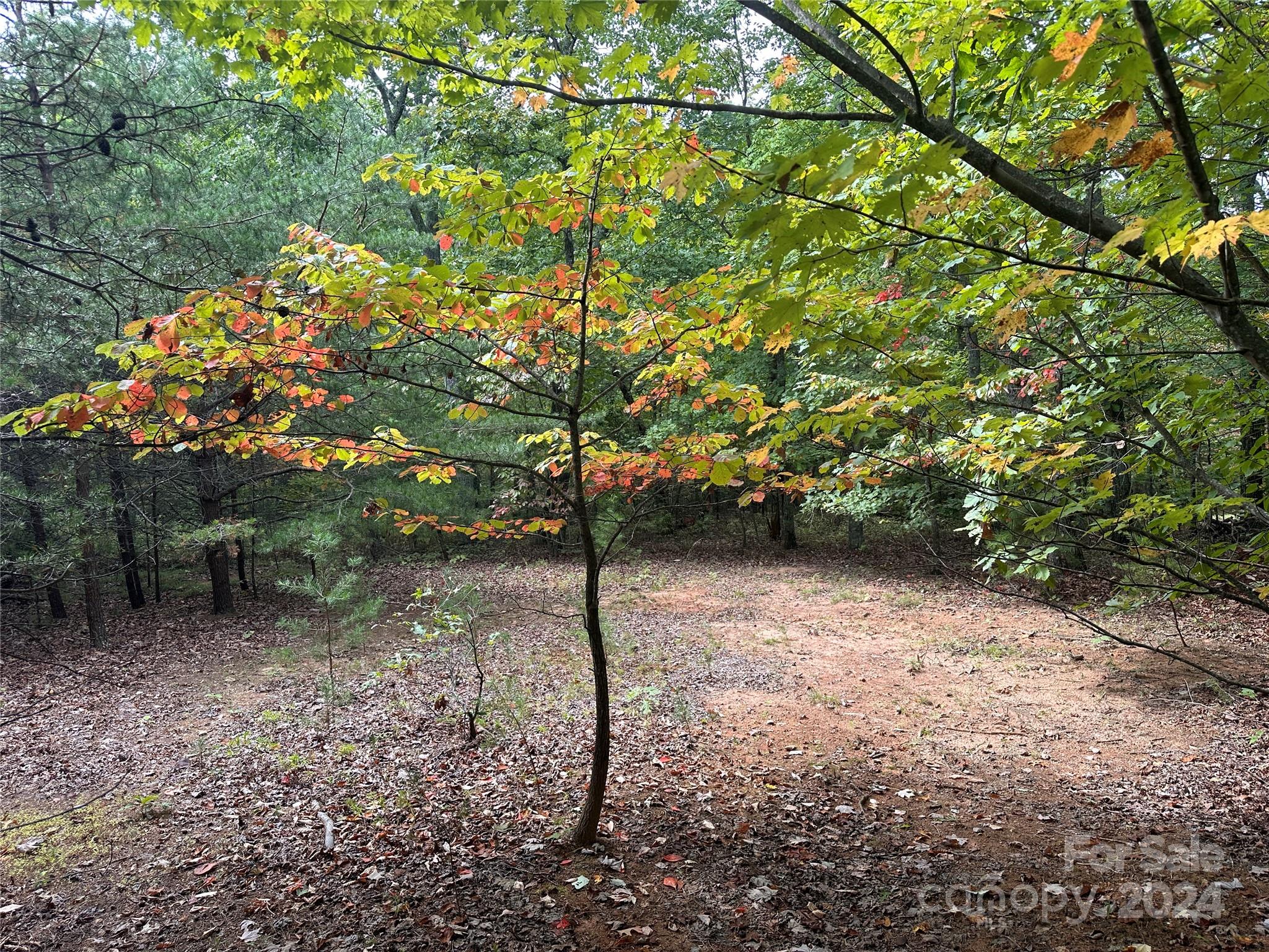 333 Mossy Oak Trail 164