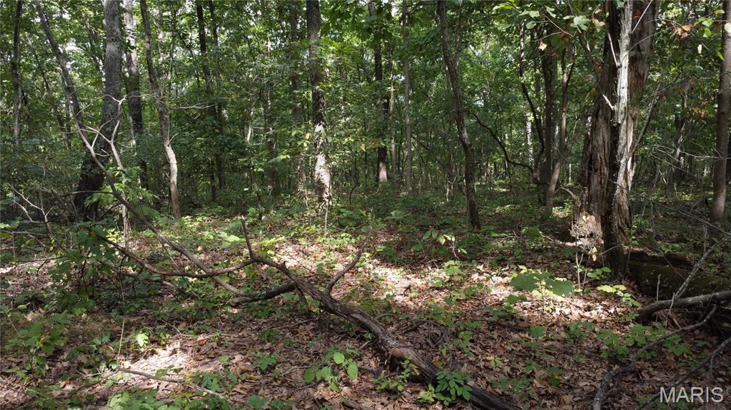 10223 San Juan Trail