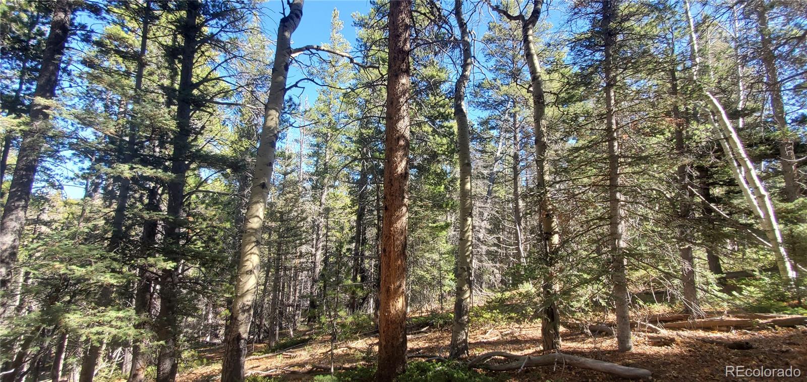 Lot 3023 & 3024 Bolwell Lane