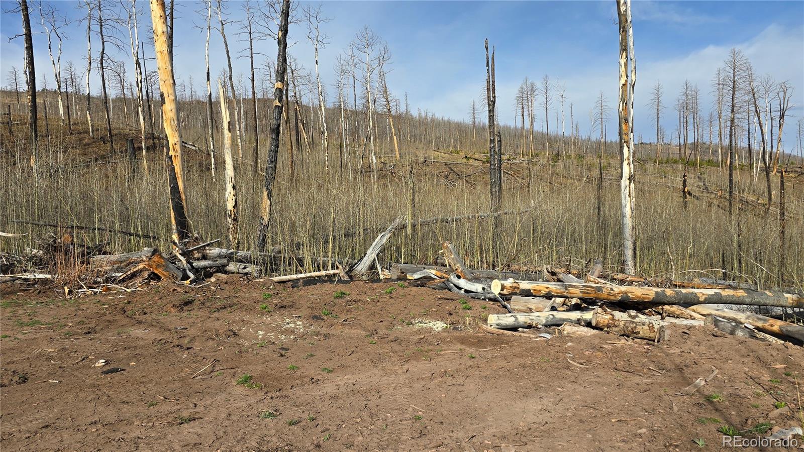 Lot 880 Slaoui Place