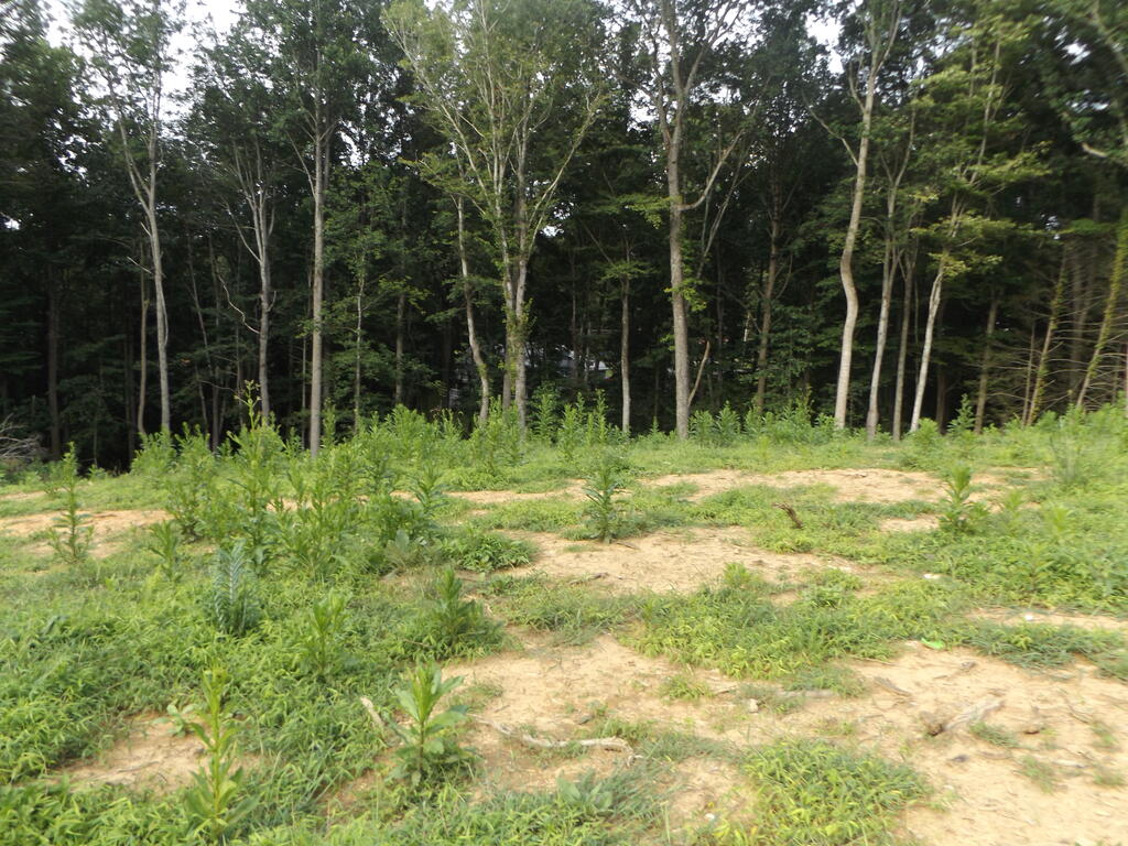 Cleared lot in the Town of Hillsville with public water, power available, natural gas available and paved road frontage! Land lays well for a walk-out basement and is cleared ready for you to build your new home! Don't miss out on this nice lot in a convenient location in The Town of Hillsville on a dead-end street!