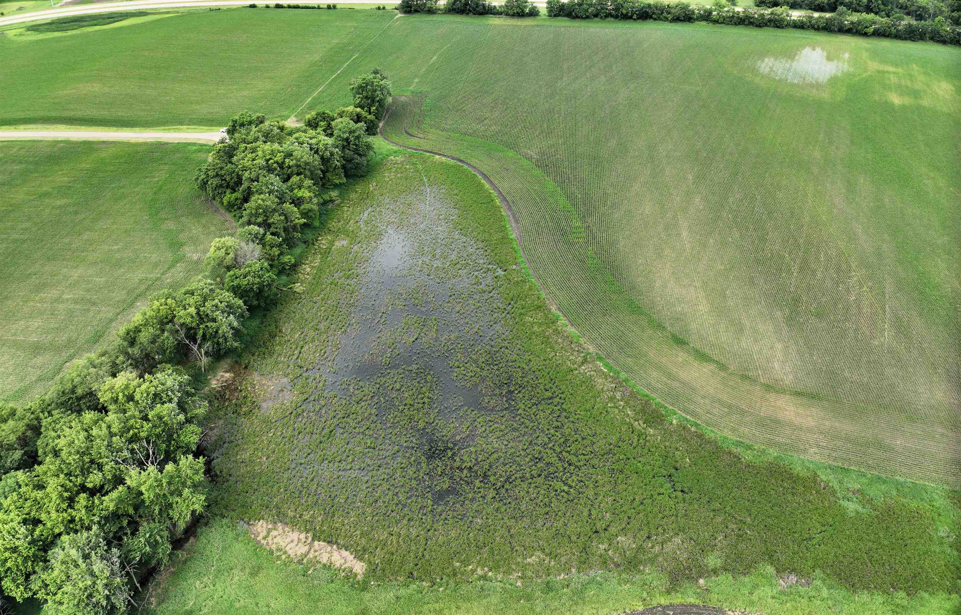 89.14 Acres Smokey Hollow