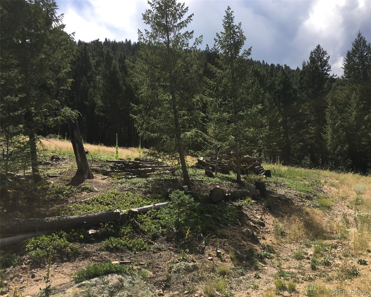 33884 Bergen View Trail