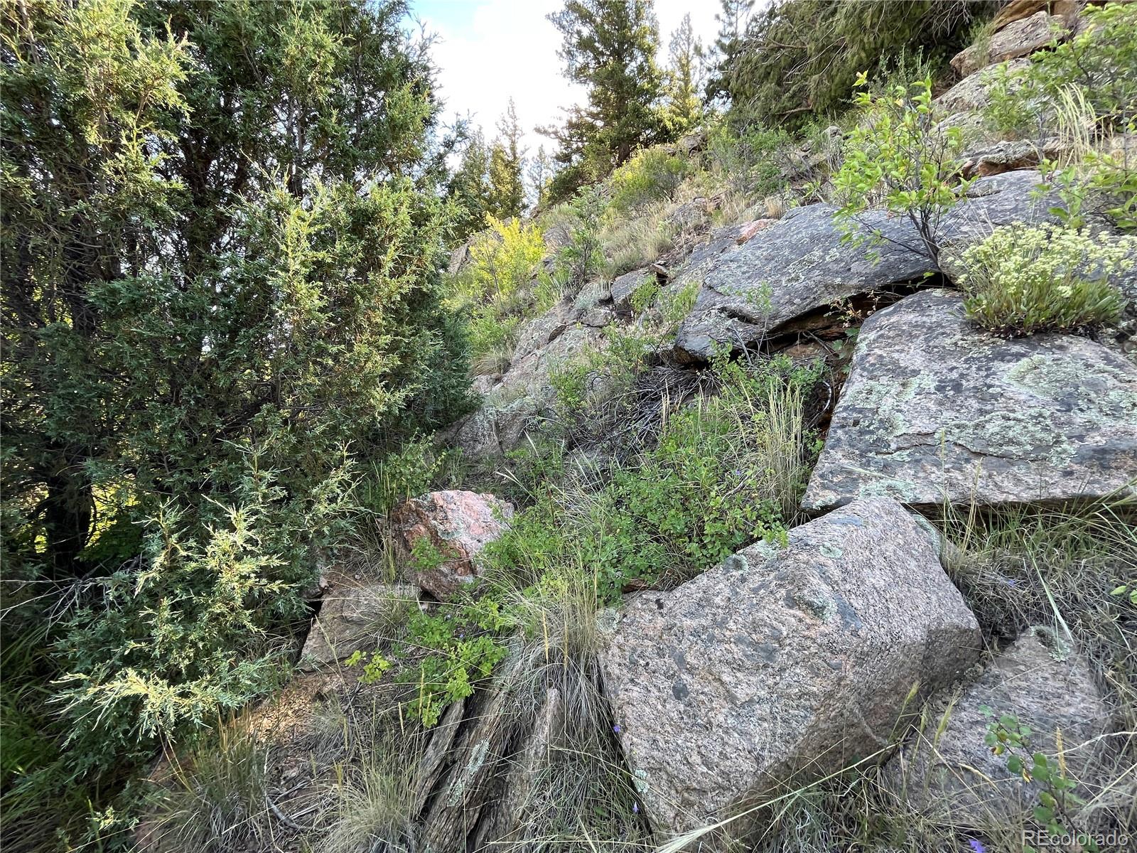 Lot 143 Forbes Wagon Creek Ranch 6082089 Land Farms, ranches