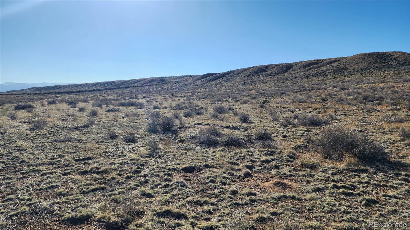 Lot 44 Collins Court