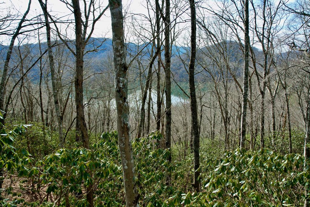 Great Views of Lake Nantahala.  Wonderful location for your mountain getaway.  Extremely easy access absolutely no 4WD needed.  Property is located close to several area amenities such as Lake Nantahala, Nantahala Gorge and several area trout streams.  Community Water available.