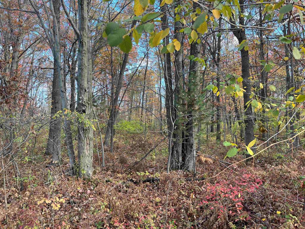 60-Acre Hunting Paradise with Abundant Wildlife Experience the tranquility of a pristine, 60-acre parcel, lovingly preserved by the same family for generations. This land features mature hardwoods that have never been logged, creating a natural haven for wildlife. Ideal for hunting enthusiasts, the property is teeming with game and backs up to state land, ensuring privacy and a rich natural environment.