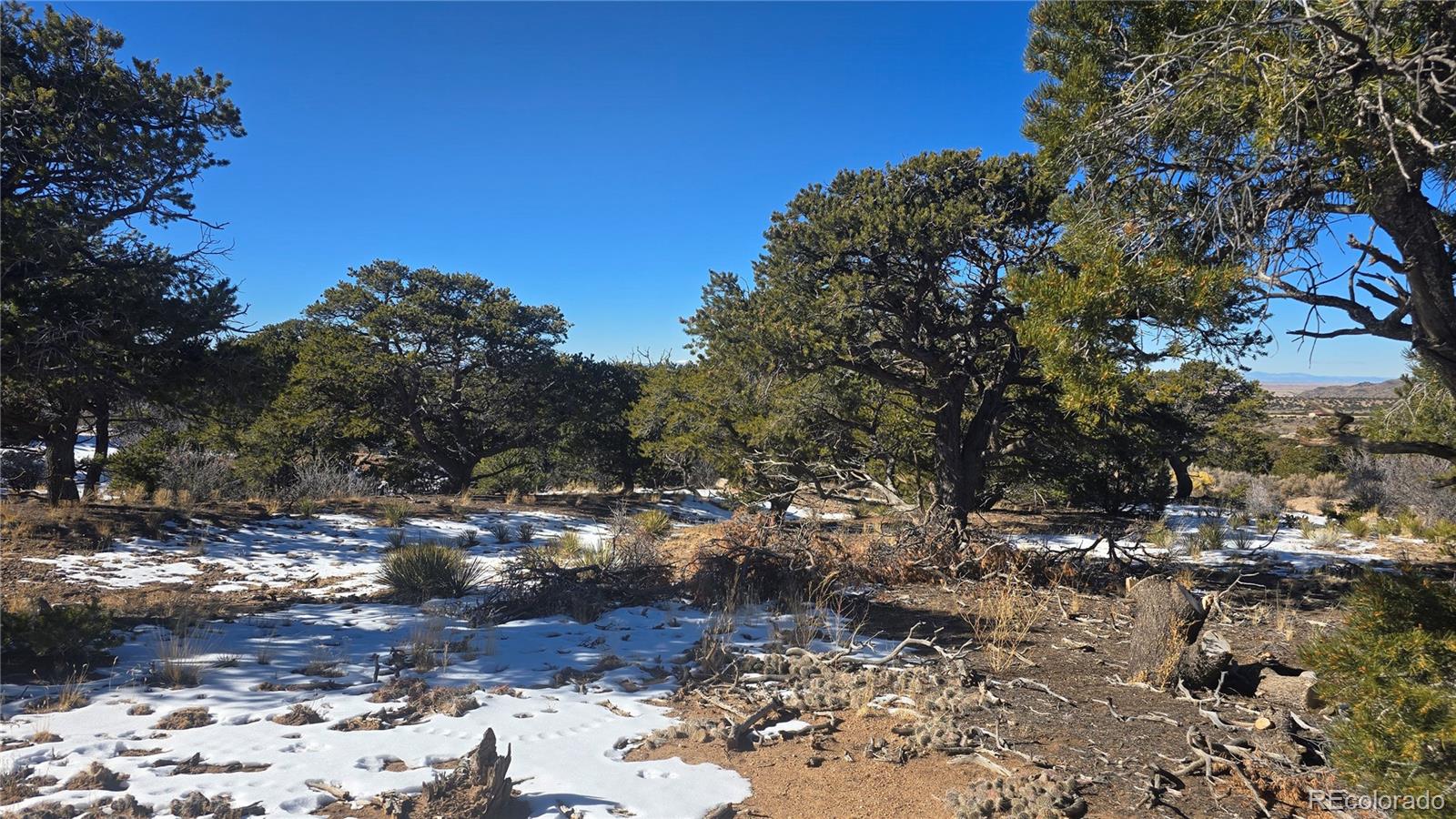 Lot 2027 Edmond Road