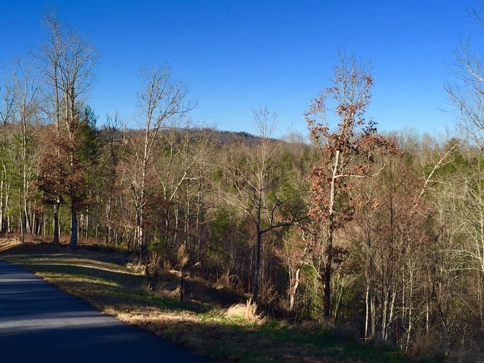"Two Lots in one." lot #94=4.03 acre lot, per HOA, ban be divided. Riverwalk on the Hiwassee gated river community in Murphy, Nc. Paved roads, underground utilities, river access and community pavilion. Less than 3 miles to quaint downtown Murphy, and  6.5 miles to Harrah's Cherokee Valley River Casino. The lot has 2 nice building sites that have built in backside privacy for course locations because of the terrain of surrounding lots. The building sites are ideal for mountain style cabins on sloping terrain. Subdivide the lot and build your house on one lot and sell the other lot. Or build a 2nd house on the other lot. Several options to consider. Awesome Long Range Mountain views and lays good with 2 nice building knolls to divide. Or keep for yourself if you want 2 privacy lots on each side of you. Lot 94 can be divided into 2 lots as you can and get septic permits per 3 max in deed.Come see if you want for yourself or want to build few homes to resell. Investors would enjoy but so would a person who would like tons of privacy. Restricted gated community with building restrictions. River front pavilion/riverfront fishing at the pavilion/picnic tables & bathrooms all good for use when you own. The roads area all paved and comm. wells in development. Thinking there might even be  city water/check on that before you offer to determine how far away it is to develop/build. I would keep it for myself and build with 1 lot each side of me to have extreme privacy. One of the largest lots in the development here.