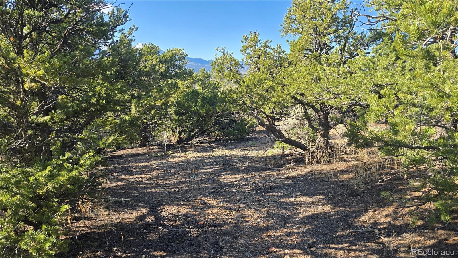 Lot 3886 & 3887 Galloway Road