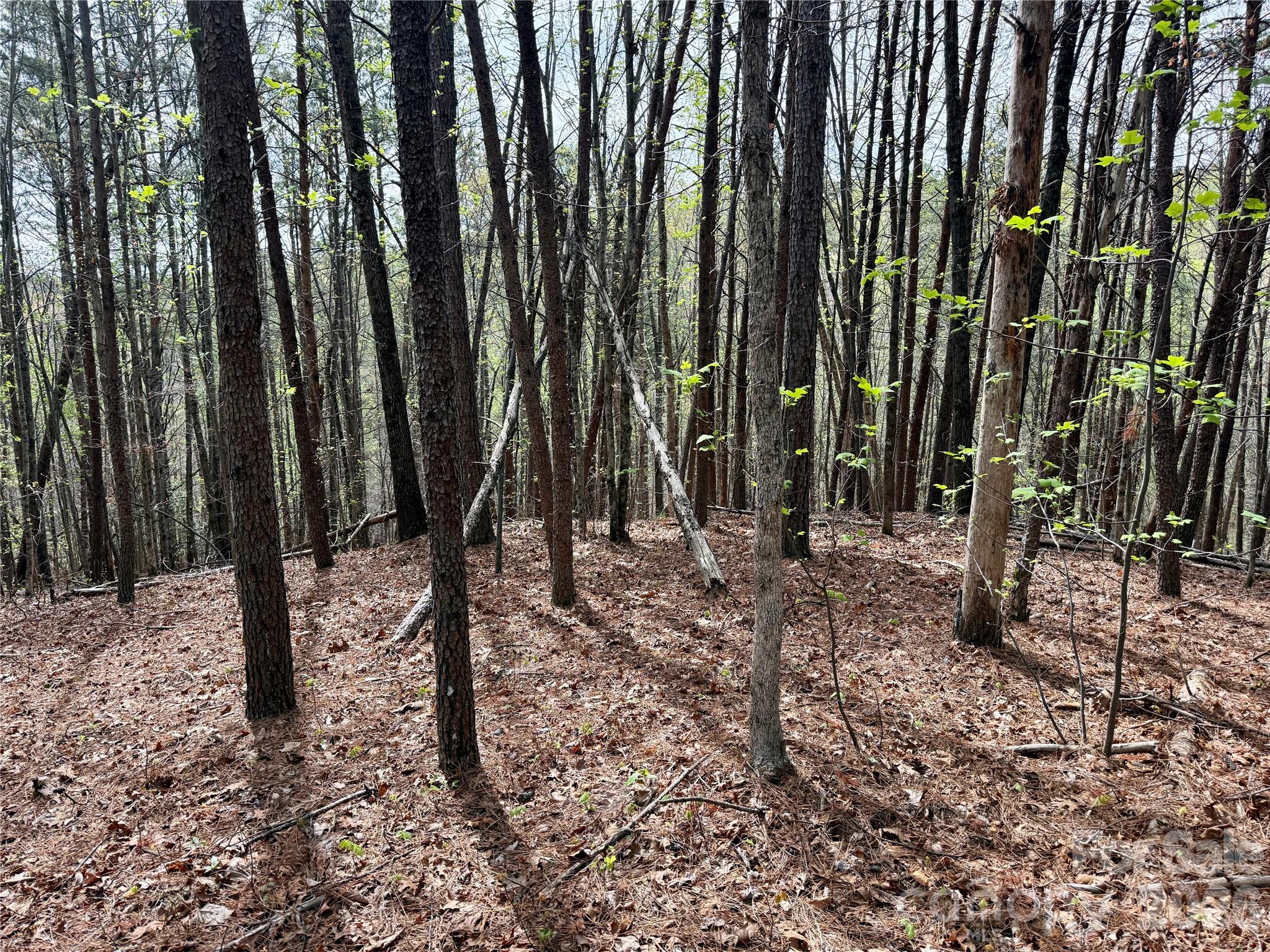 Lot 488 Bella Vista Way 488