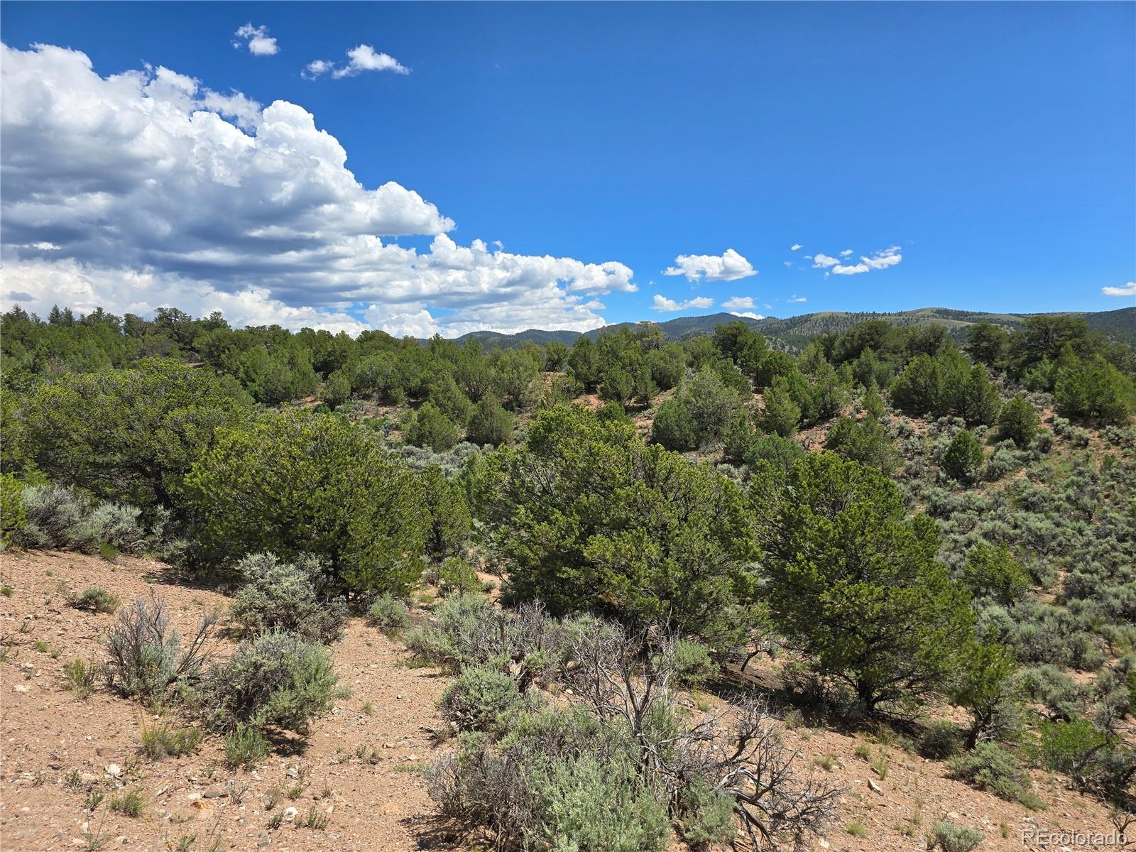 7572 Dashiell Road