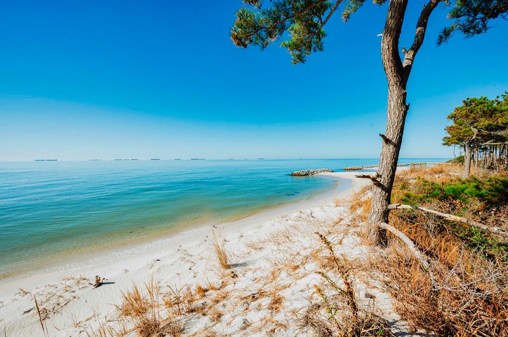 Lot # 2 Elliotts Creek Ln 2