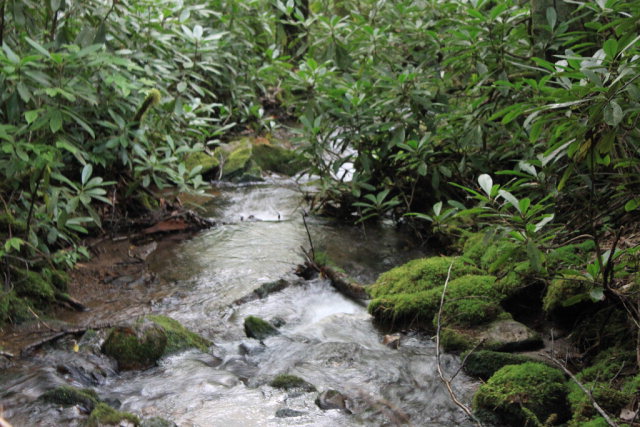 Phenomenal buy !!!  WOW 9 lots with incredible creek frontage!!!! This would be a perfect location for a mountain getaway.  Very Private.  Located close to Appalachian Trail and Bartram Trail, Lake Nantahala and the Nantahala Gorge.  Do not let this one get away.