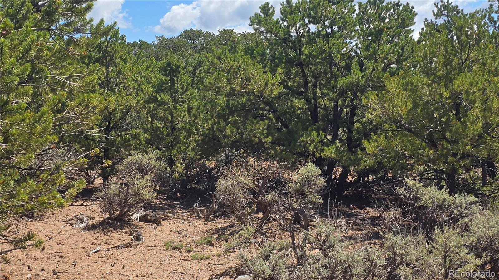 Lot 1615 Dunn Road