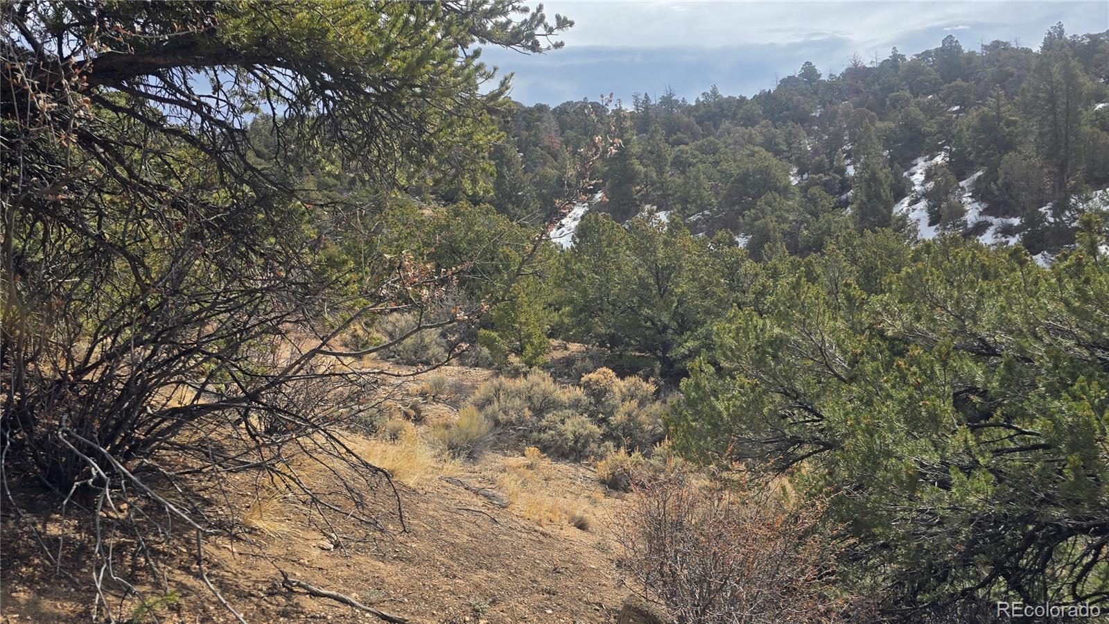 Lot 1628 Hidalgo Road