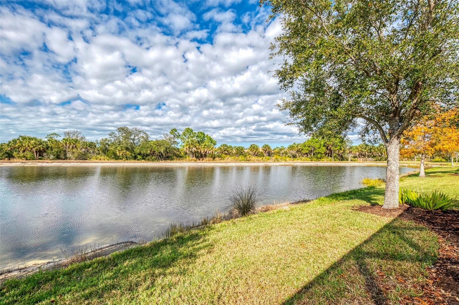 13344 Creekside Lane