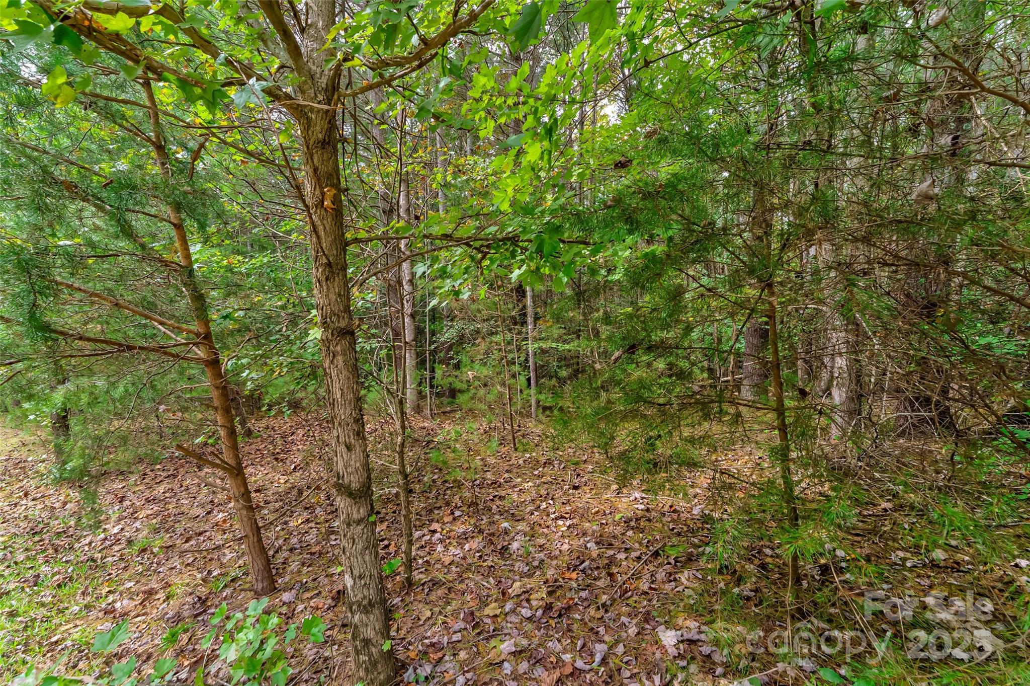 1280 Bluestone Court 35