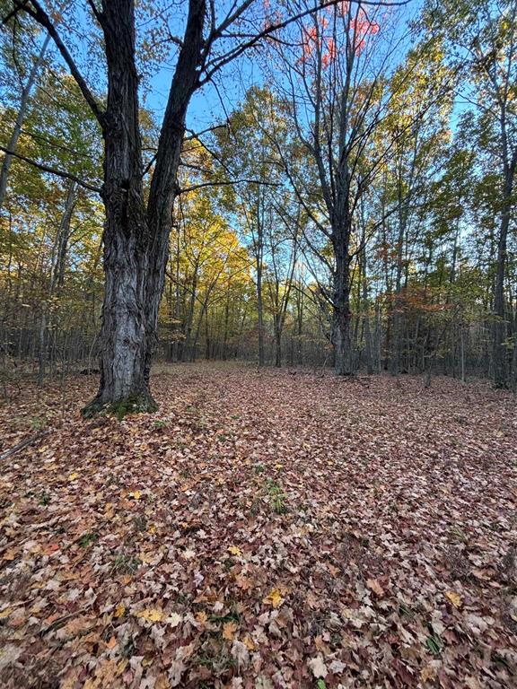 Rare find! 159 acres of land located just East of Mount Pleasant. This property has lots of mature hardwood trees as well as a pond. There is a pole barn located near the center of the property accessible by trails running throughout. Perfect for recreation, timber investment, hunting, or to build your dream home.