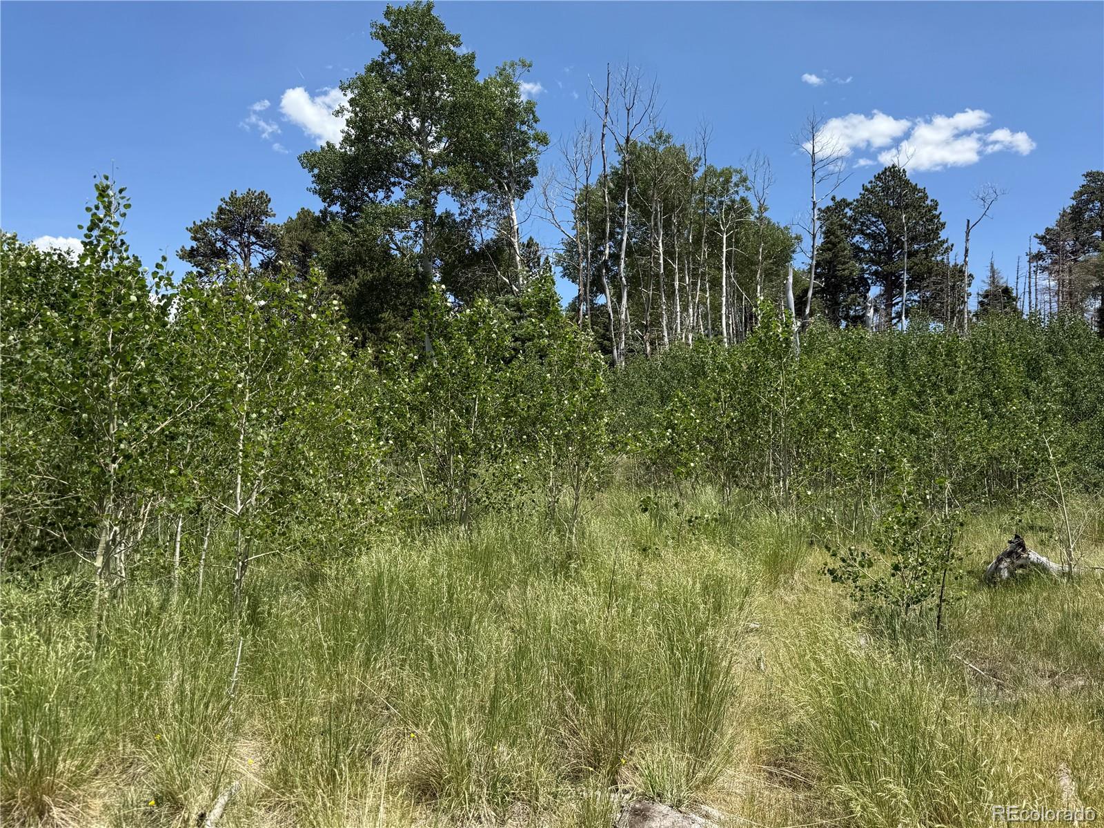 Lot 1103 Emery Loop