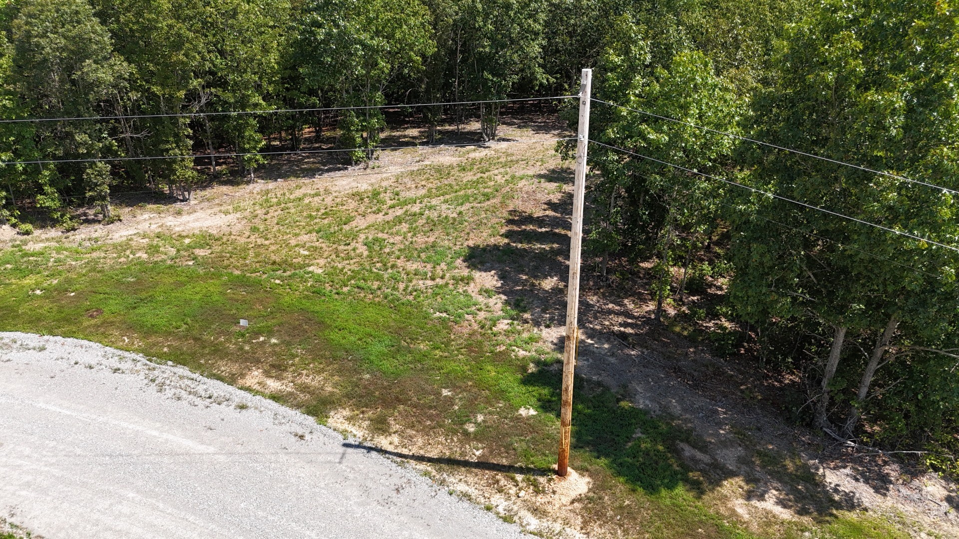 113 Chestnut Dr