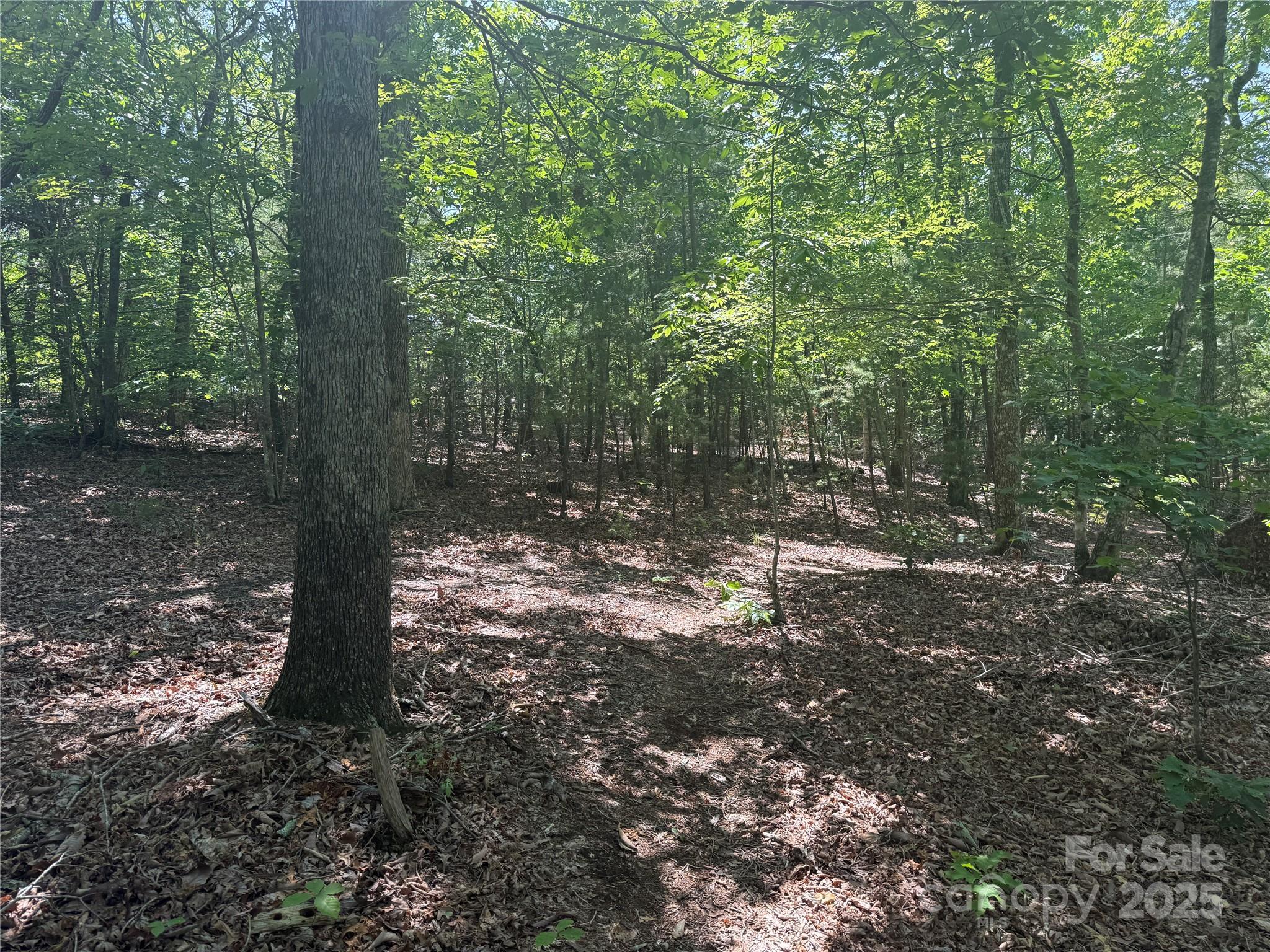 0 Crescent Ridge Lane 373