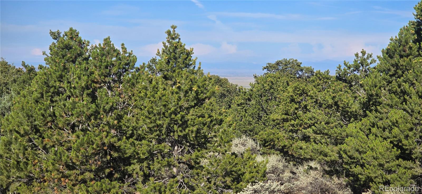 Lot 1362 Dunn Road