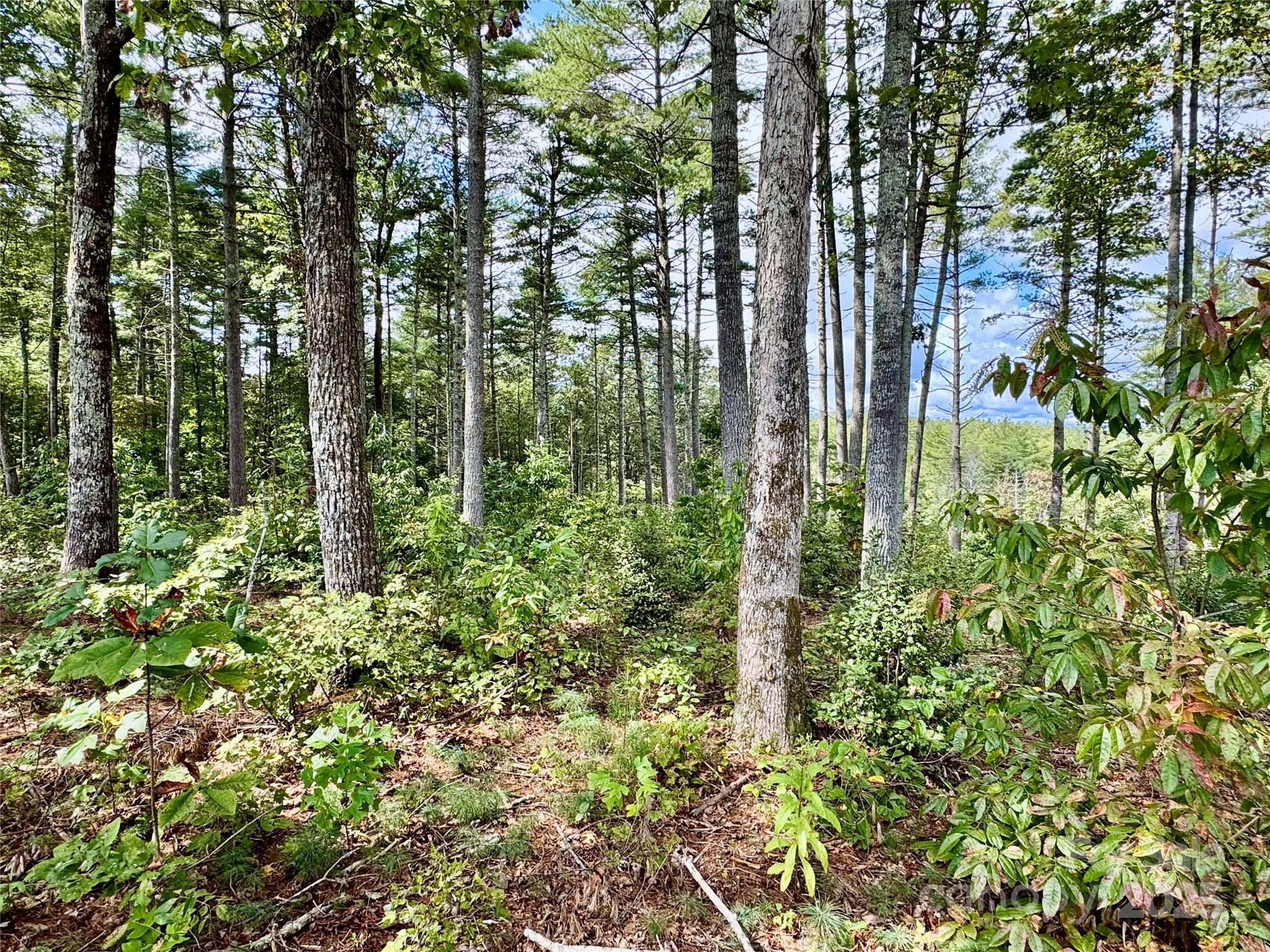 2088 Thoroughbred Way Lot G25